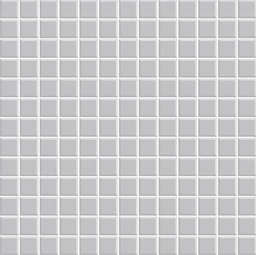 Flooring & Tile 9 ceramic_floor