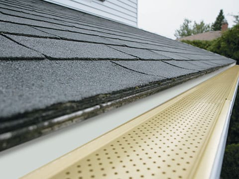 Siding & Gutters 24 gutter_protection-category-1